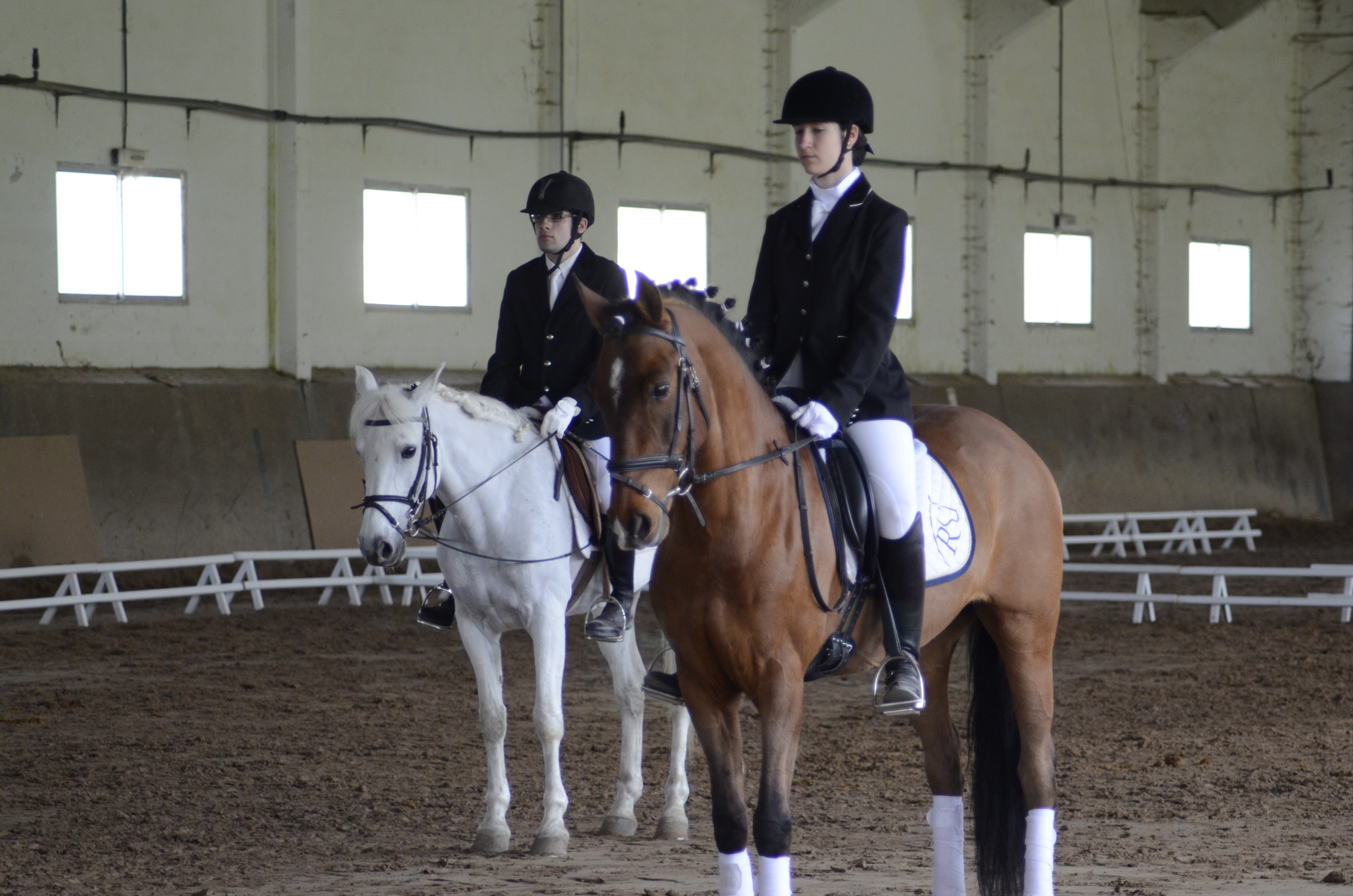 Clasificación 2ª fase Liga Navarra Doma Clásica Niveles 1-5 y JJDD 2014